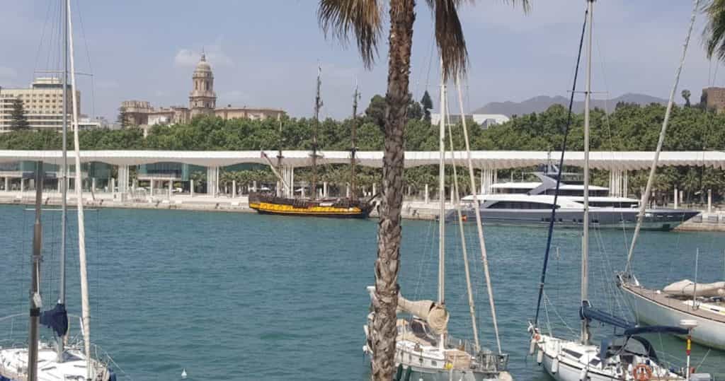 Palmeral de las Sorpresas