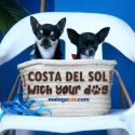 Costa del Sol with dog