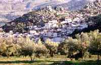 landschaft montejaque