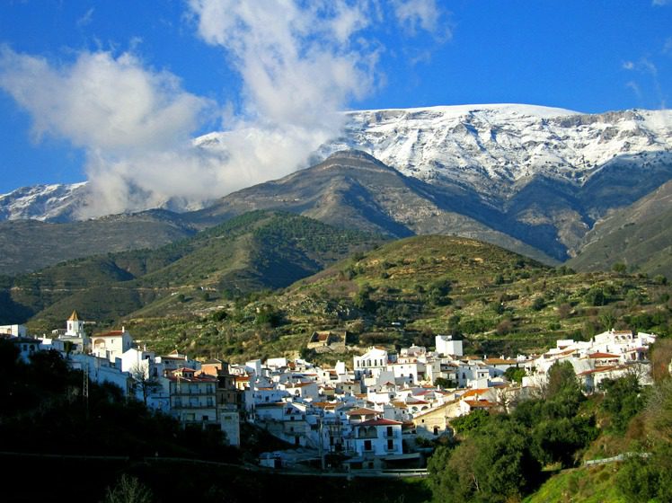 sedella