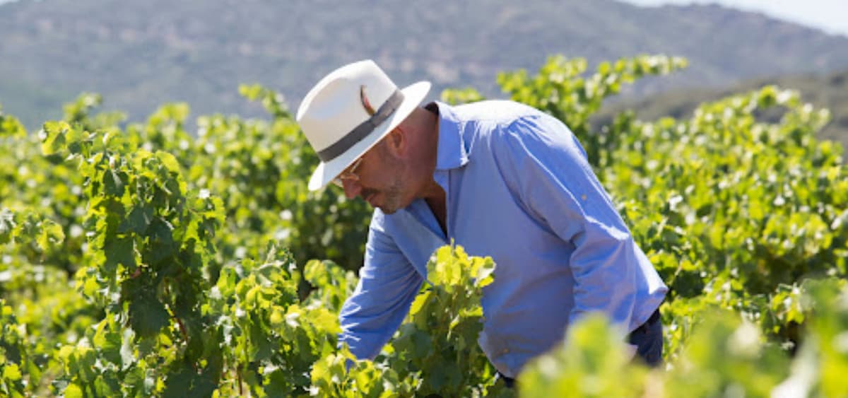 Bodegas Ordoñez, Vélez-Málaga