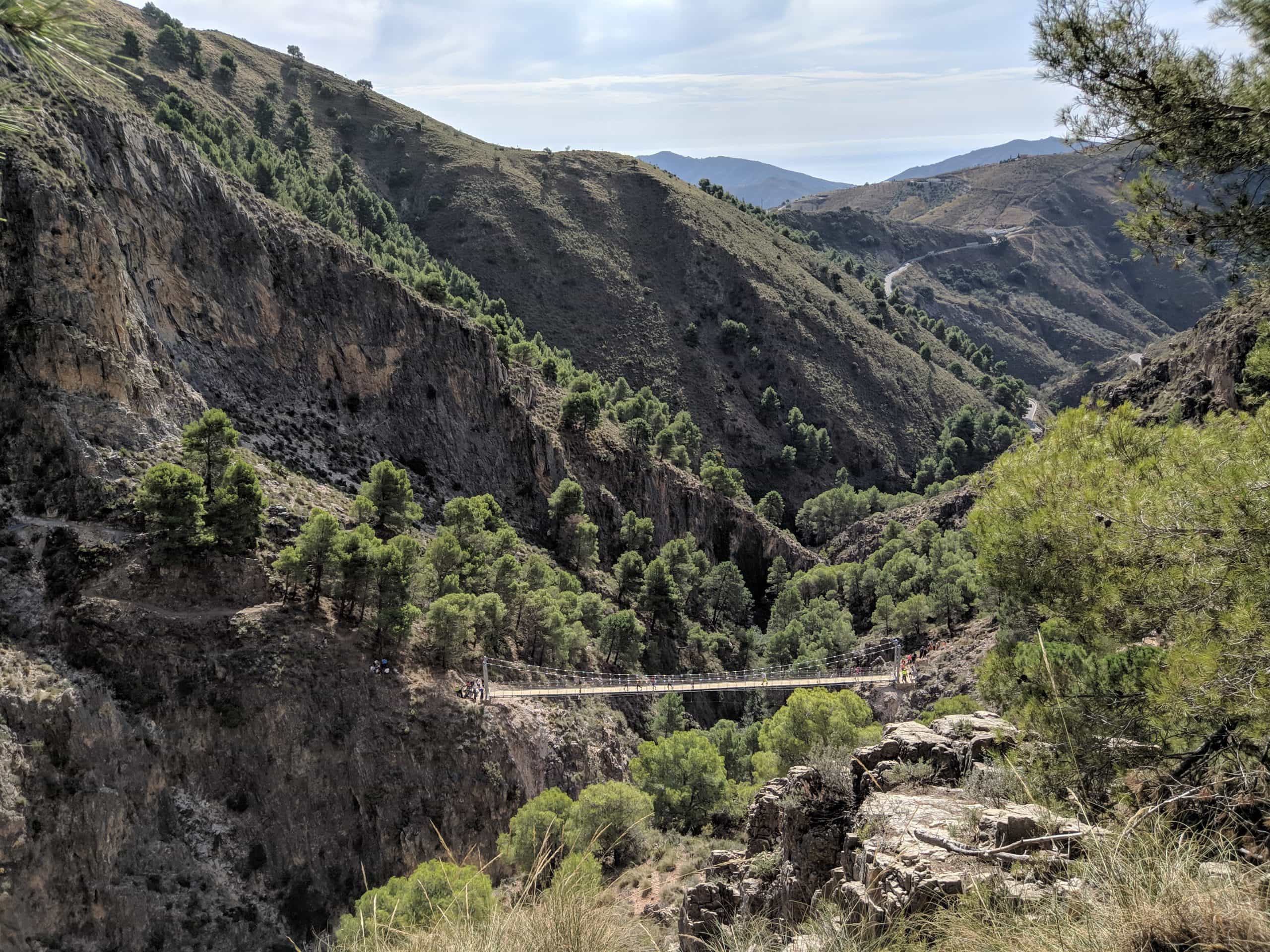 El Saltillo