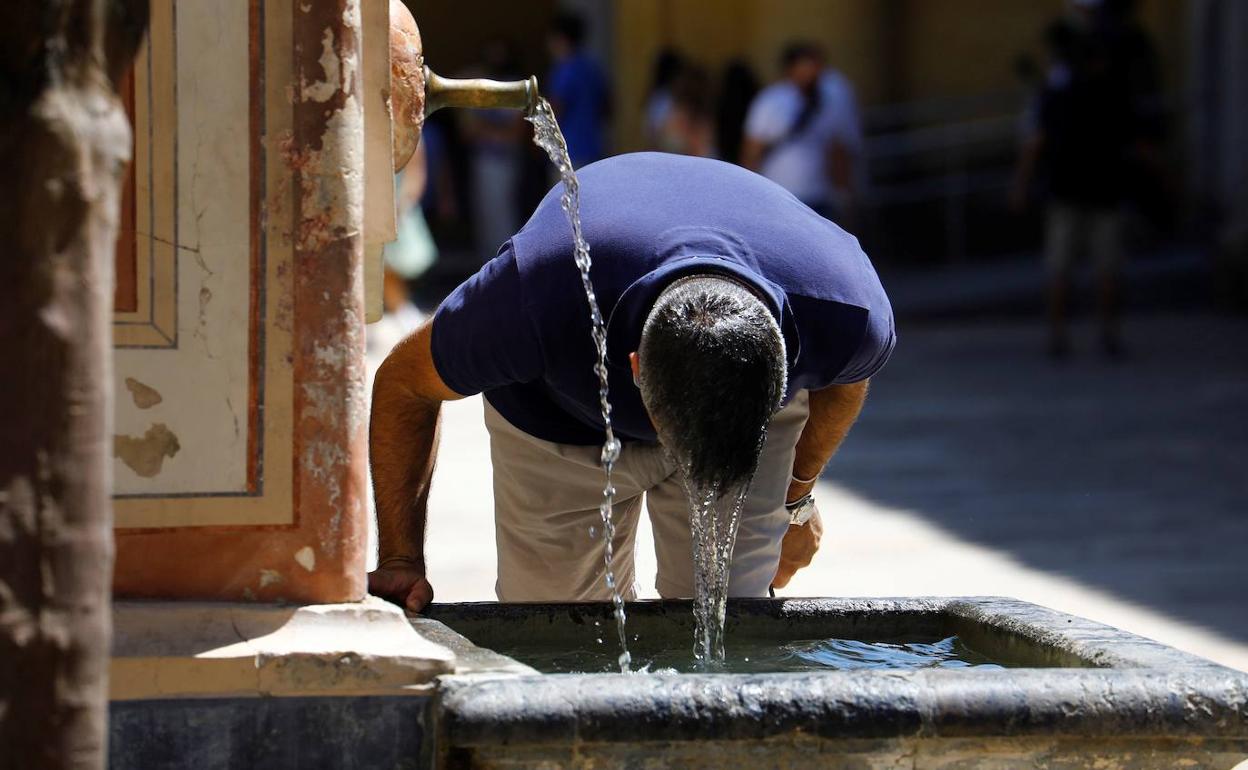 calor terral