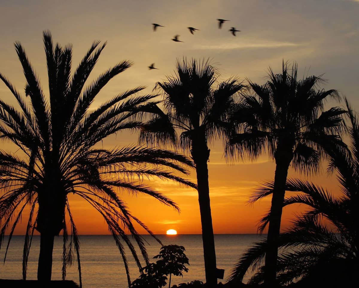 playa torremolinos amanecer